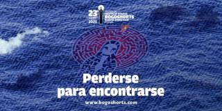 Imagen afiche con imagen y letras de BOGOSHORTS