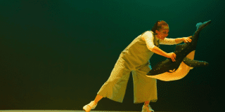 Imagen de una niña vestia de blanco jugando con una ballena yubarta