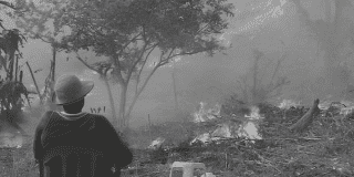 Foto de una persona observa en silencio un paisaje rural cubierto de humo y fuego