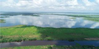 Imagen de Paisajes Emergentes 