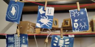 Imagen gráfica Capacidades Diversas