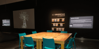 Foto de un comedor y unas sillas azules 