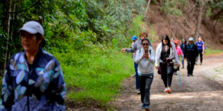 Imagen de varias personas participando en una caminata ecológica