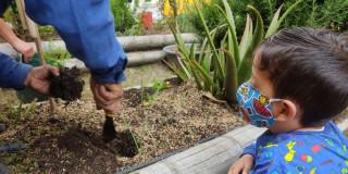 Foto que muestra un niño y una persona sembrando 