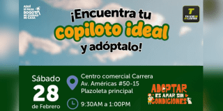 Imagen con información del Jornada de adopción
