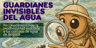 Imagen del poster promocional del taller que se ralizará en el CEE Chapinero