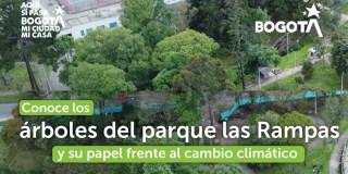 Foto de un parque en Bogotá.