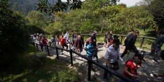 Foto de bogotanos, bogotanas y visitantes subiendo el sendero de Monserrate en Bogotá.