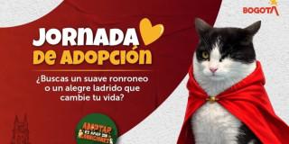Tarjeta de invitación a jornada de adopción de animales