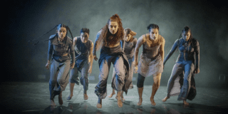 Imagen promocional del festival donde se observa el gallo imagen de la versión en 2026