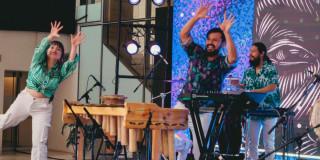 Imagen Phonoclórica en concierto