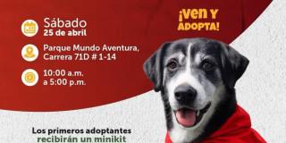 Invitación a jornada de adopción en Mundo Aventura