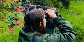 avistamiento de aves en Bogotá
