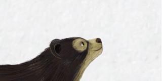 Ilustración oso andino