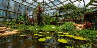 Jardín Botánico de Bogotá