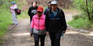 Personas caminando por un sendero ecológico 