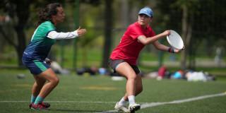 personas practicando ultimate frisbee