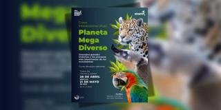 Imagen de afiche con letras y animales de Curso Interacciones vivas 