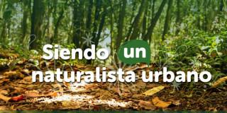 Pieza gráfica Siendo un Naturalista Urbano del Jardín Botánico de Bogotá