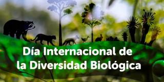 Invitación Día de la Diversidad Biológica