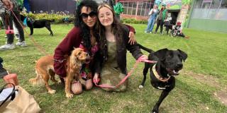 Personas con perros rescatados en Bogotá