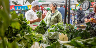 Foto de bogotanos y bogotanas en uno de los Mercados Campesinos de Bogotá.