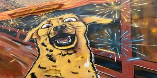 Mural de perro con fuegos artificiales en fondo urbano colorido