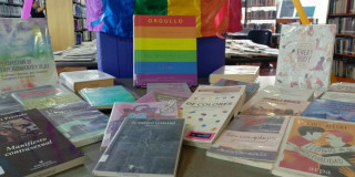 Imagen de libros con títulos acerca delMes del Orgullo LGBTI