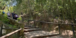 Personas ascienden sendero de Monserrate entre árboles y escalones naturales en Bogotá