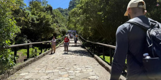 Personas caminan por sendero empedrado del cerro de Monserrate rodeado de vegetación