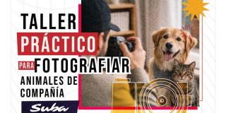 invitación taller de fotografía de animales de compañía en Suba