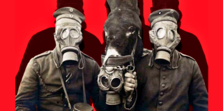 Imagen de dos hombres encapuchados y un burro también encapuchado..