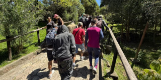 Personas ascienden por el sendero peatonal de Monserrate en Bogotá rodeada de vegetación y naturaleza.