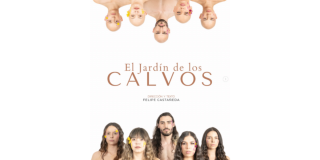 Imagen promocional de la obra en la que se ve en la parte inferior varias personas y en la parte superior las mismas personas sin cabello.