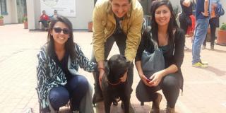 Adopción de animales - Foto: Prensa Alcaldía Mayor de Bogotá / Lesly Segura