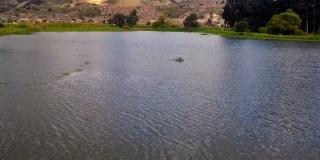 Comunidad de Tunjuelito se declara guardiana del humedal La Libélula