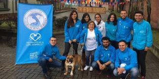 Consejo Local de Protección Animal - Foto: Portal Bogotá