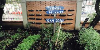 Huertas urbanas - Foto: Secretaría de Integración Social