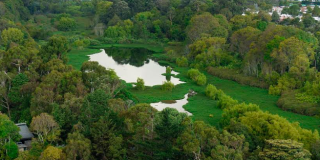 Exposición Pintura y Fotografía, Arte y Color por los Humedales