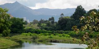 Humedal Córdoba - Foto: Jorge Emmanuel Escobar Moreno