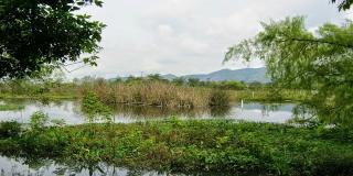 Humedal Córdoba - Foto: Humedales Córdoba por Jorge Escobar