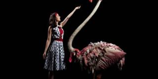 Teatro Negro de Praga de Jiri Srnec, el original - Foto: Instituto Distrital de las Artes (Idartes) Teatro Negro de Praga de Jiri Srnec, el original - Foto: Instituto Distrital de las Artes (Idartes)