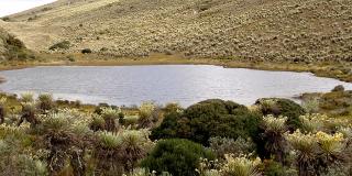 Parque Nacional Natural Sumapaz - Foto: Parques Nacionales de Colombia