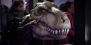 Exposición Maloka - Foto: Prensa Maloka