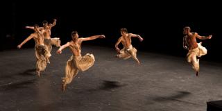 'VIII Festival de Danza en la Ciudad'