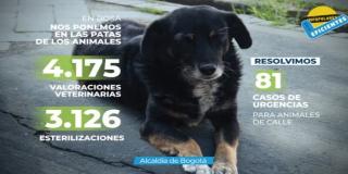 Más de 500 personas asistieron al evento “venga le cuento” en Bosa