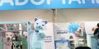 El Instituto Distrital de Protección Animal está en Expopet 2019