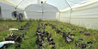 Comisión Ambiental Local en la vereda Las Vegas 