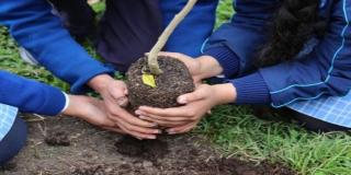 Usaquén restaura su estructura ecológica principal 