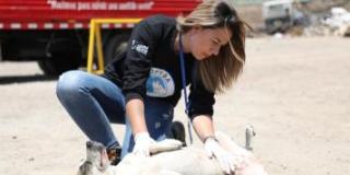 Conoce nuestra gestión en la rendición de Cuentas